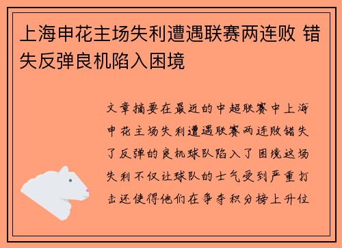 上海申花主场失利遭遇联赛两连败 错失反弹良机陷入困境
