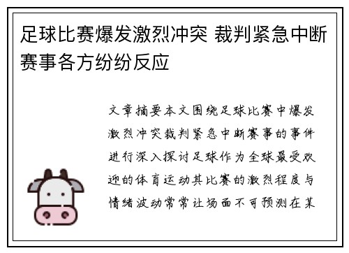 足球比赛爆发激烈冲突 裁判紧急中断赛事各方纷纷反应