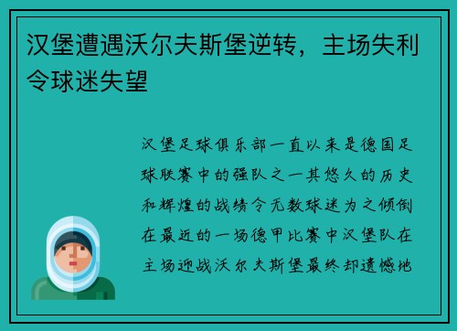 汉堡遭遇沃尔夫斯堡逆转，主场失利令球迷失望