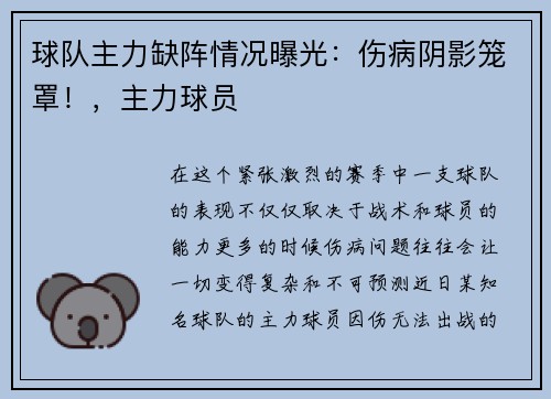 球队主力缺阵情况曝光：伤病阴影笼罩！，主力球员