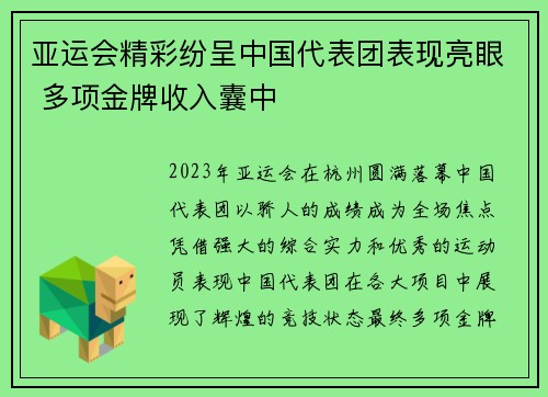 亚运会精彩纷呈中国代表团表现亮眼 多项金牌收入囊中