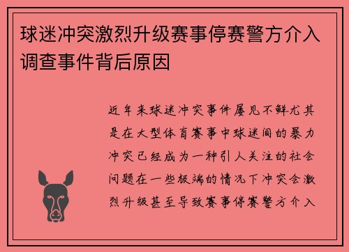 球迷冲突激烈升级赛事停赛警方介入调查事件背后原因