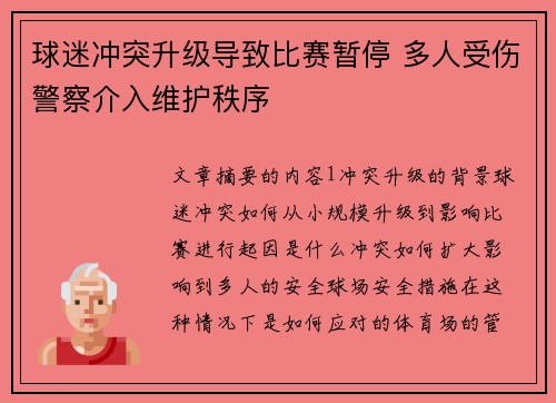 球迷冲突升级导致比赛暂停 多人受伤警察介入维护秩序